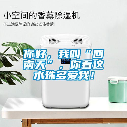 你好，我叫“回南天”，你看這水珠多愛我！