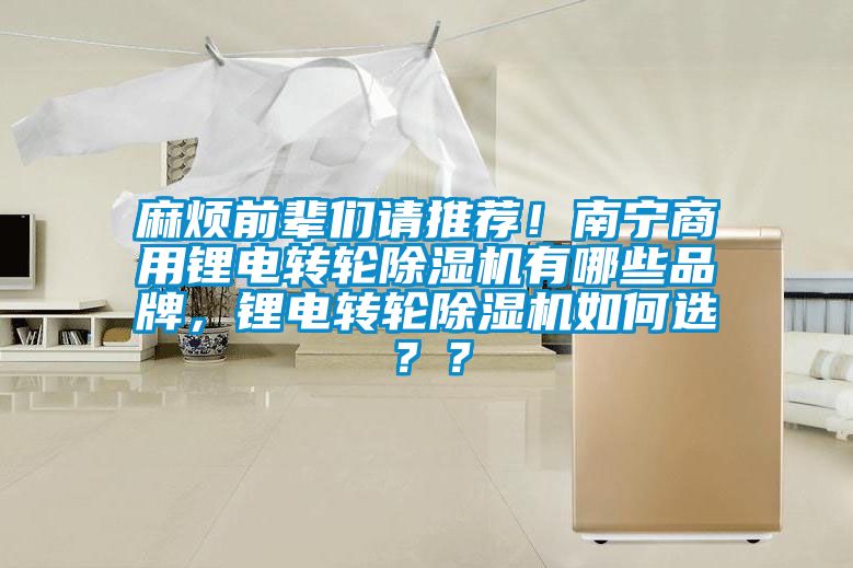 麻煩前輩們請(qǐng)推薦！南寧商用鋰電轉(zhuǎn)輪除濕機(jī)有哪些品牌，鋰電轉(zhuǎn)輪除濕機(jī)如何選？？